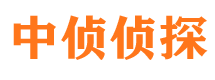 隆德市调查公司